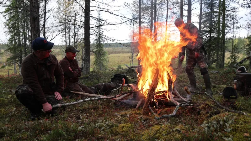 Kolme retkeilijää nuotiolla syksyisessä pohjoisen mäntymetsässä